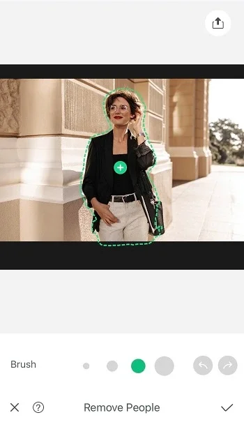 Object Removal - Retouch Tunes Interface